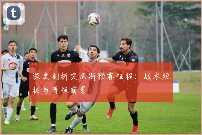 深度剖析突尼斯预赛征程:战术短板与晋级前景