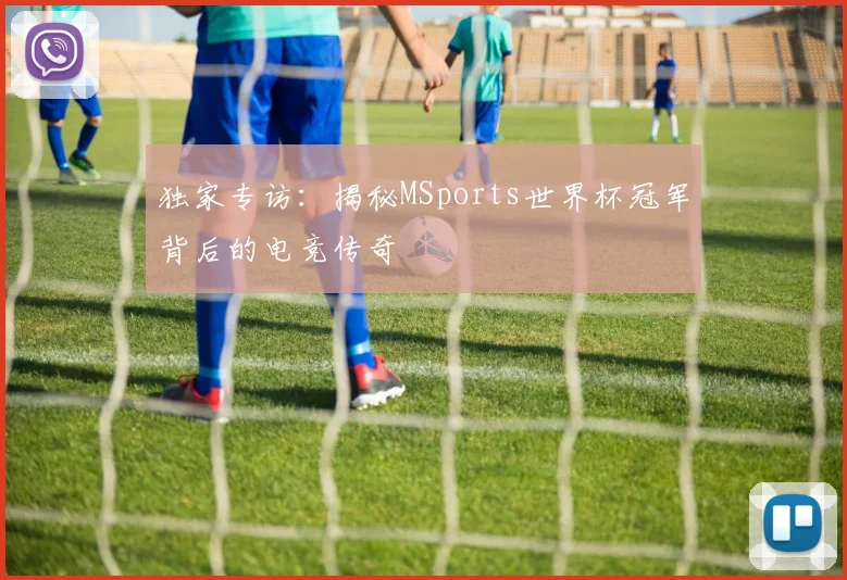 独家专访：揭秘MSports世界杯冠军背后的电竞传奇