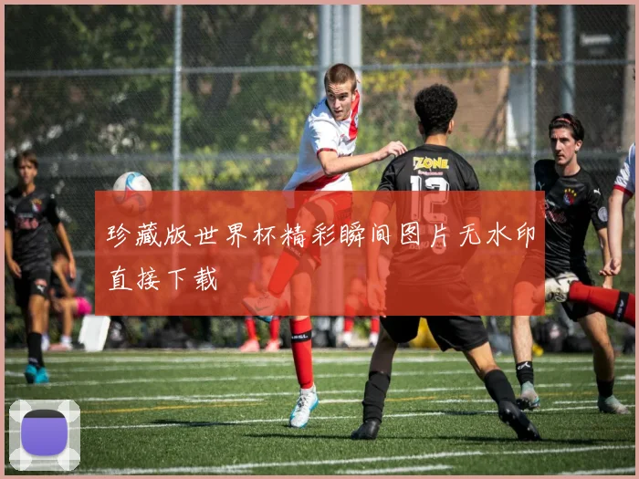 珍藏版世界杯精彩瞬间图片无水印直接下载