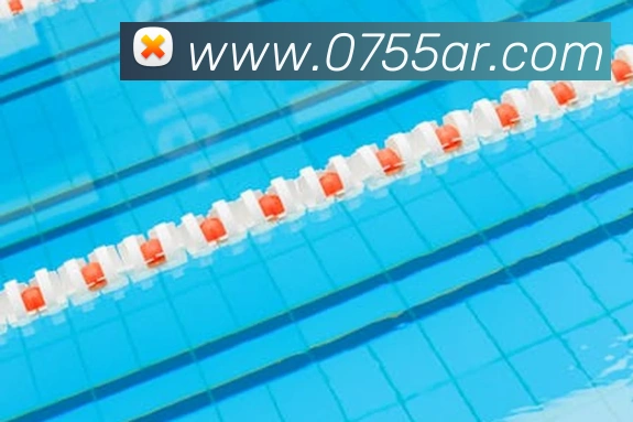 bsports官网登录平台生态图